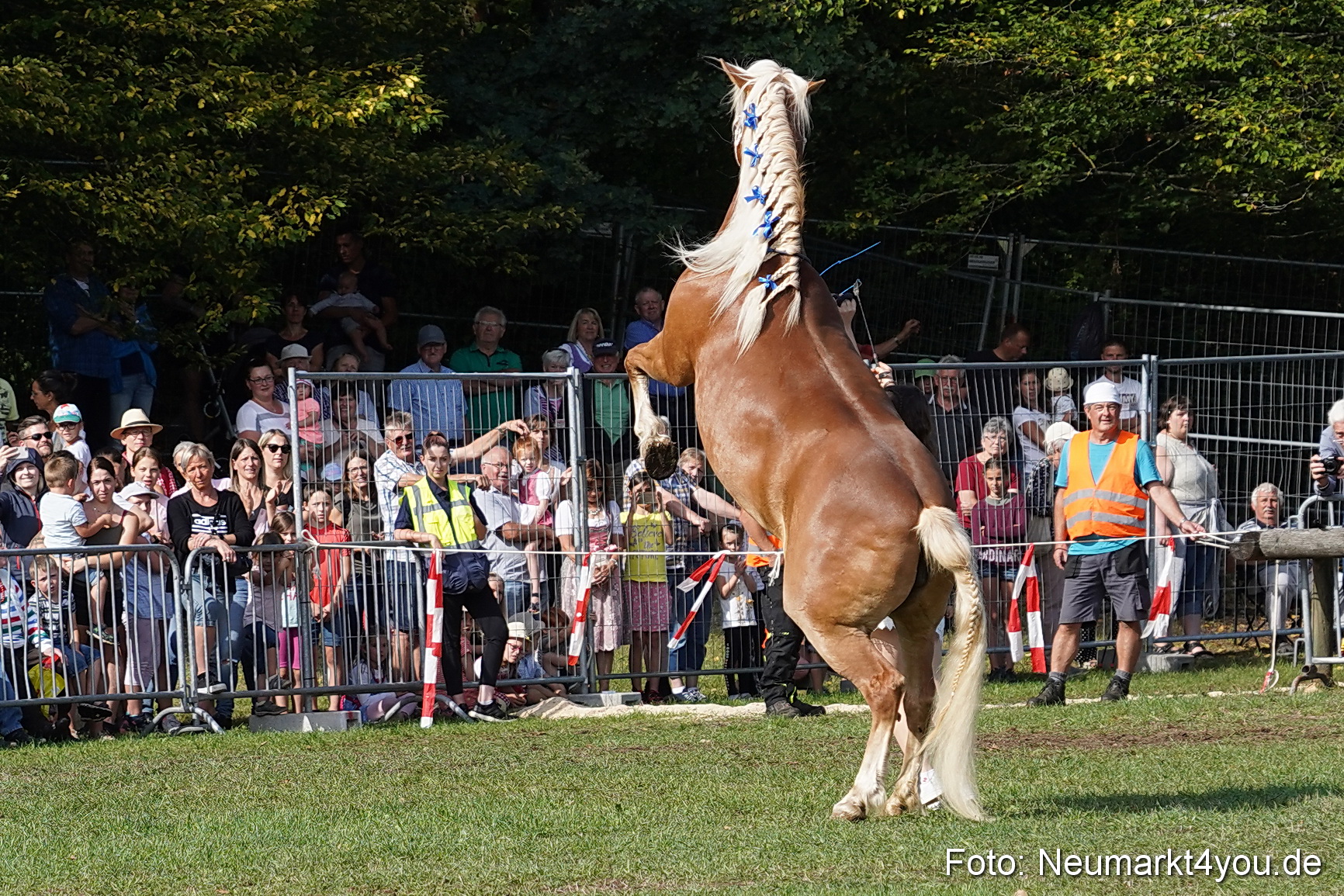 Pferde und Fohlenschau 2022 0152 